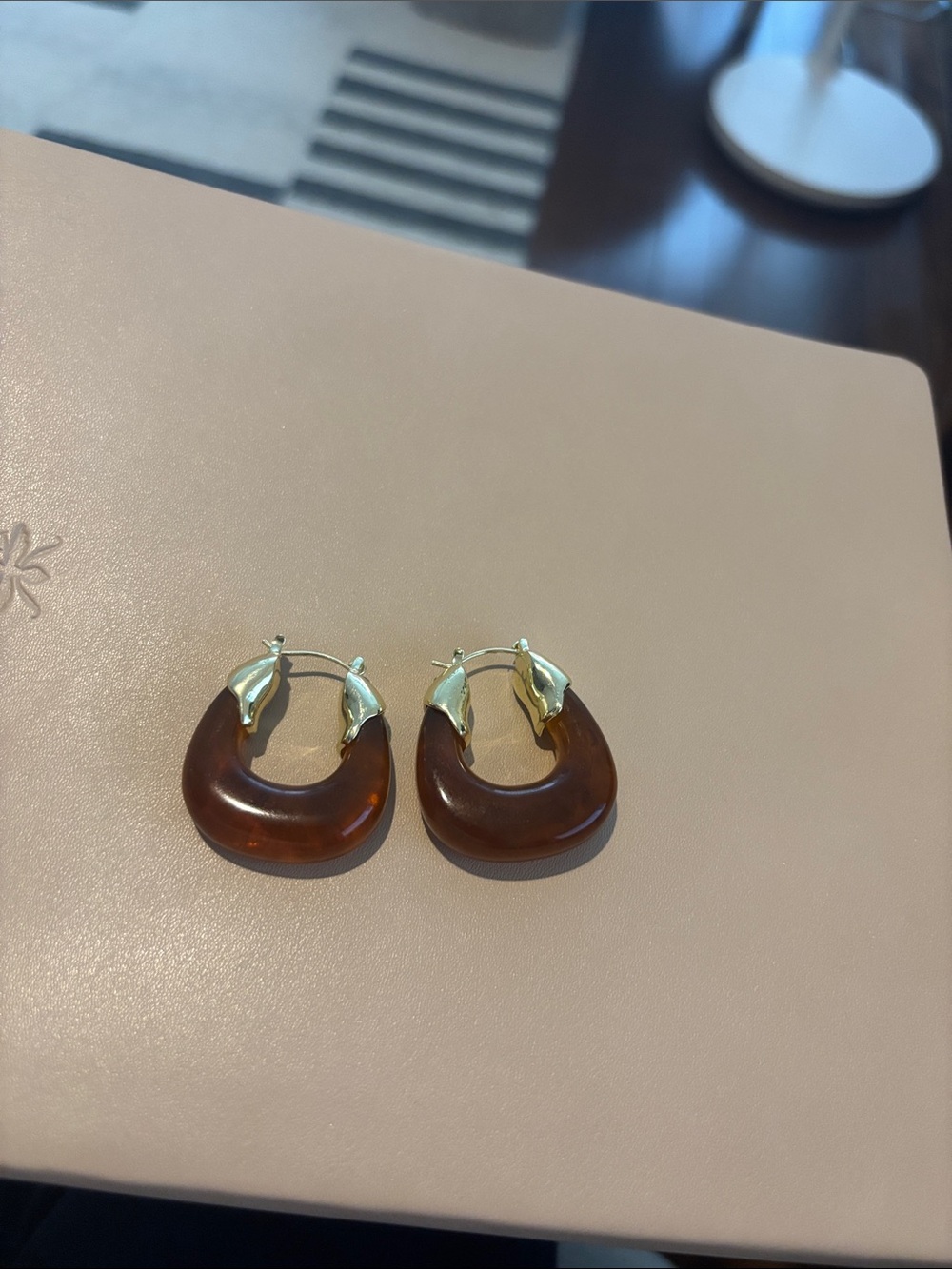 Brown Resin Hoop Earrings with Gold Accents